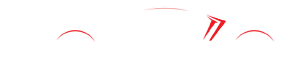 Rays Automotive sales